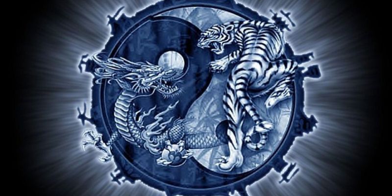 Một số thông tin về luật chơi rồng hổ mà bạn cần nắm rõ