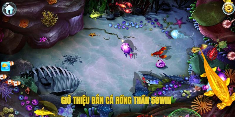 Vài thông tin sơ lược về bắn cá rồng thần